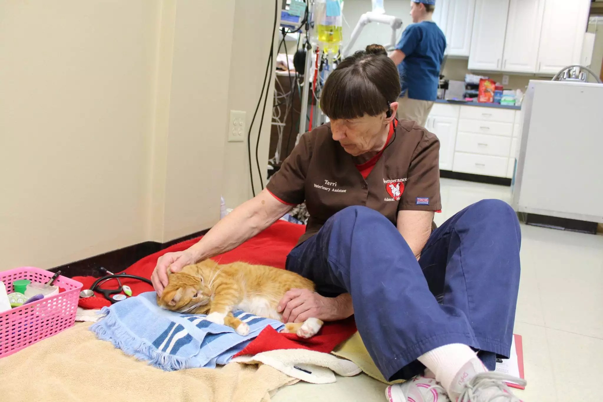 Tour our Practice Temperance Animal Hospital