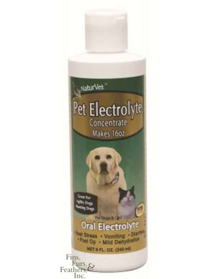 7 Powerful Home Remedies For Dog Vomiting Page 2 of 3 Tail and Fur