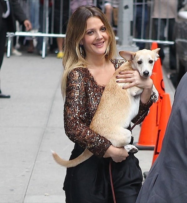 15 Celebrities with their Rescue Dogs Tail and Fur