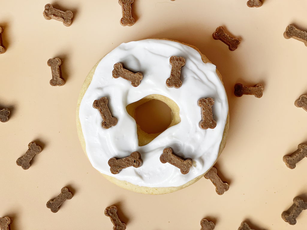 Dogfriendly doughnut recipe Recipes
