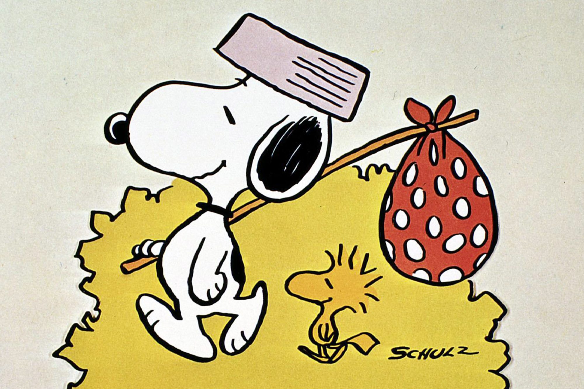 Snoopy Sleeping Cartoon