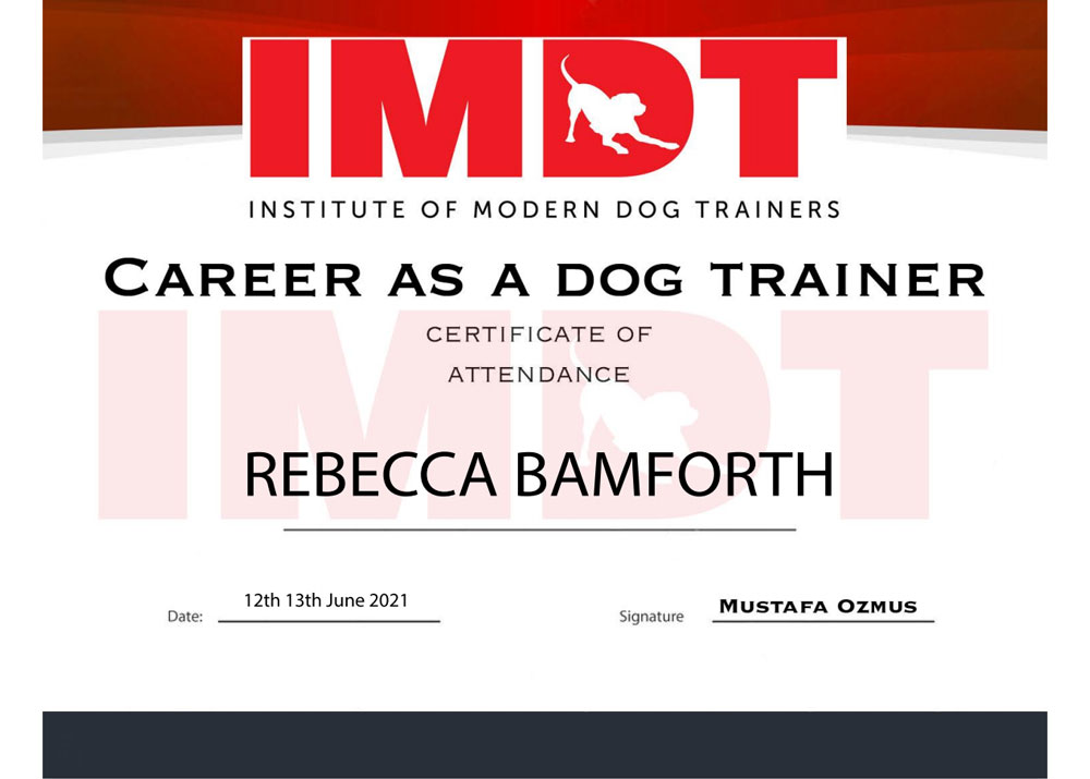 Qualifications Certified Dog Walker & Trainer in Royston Barnsley