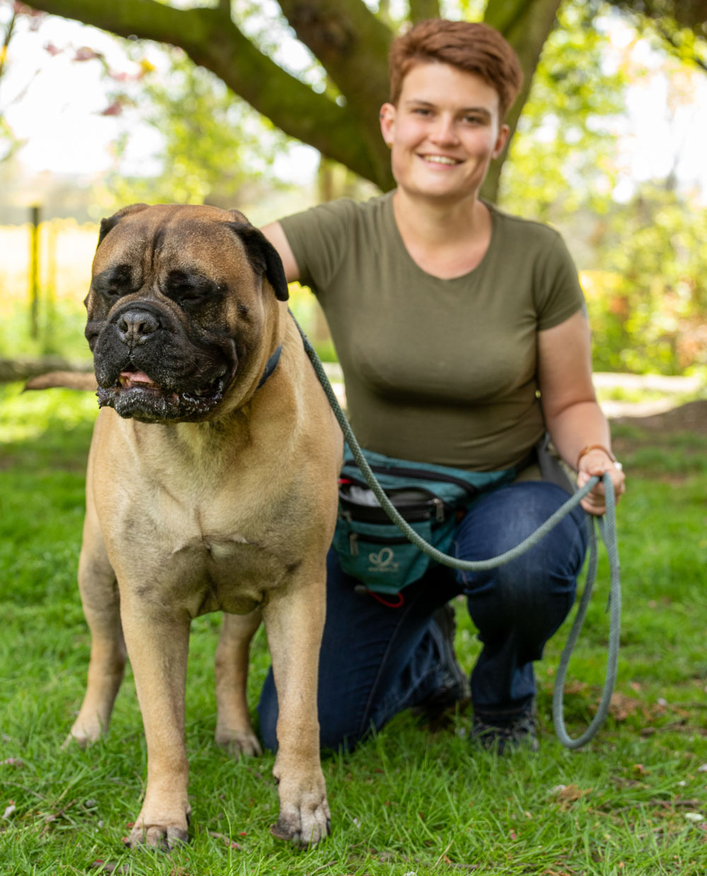 Contact Becky Bamforth, Qualified Dog Walker & Trainer Barnsley