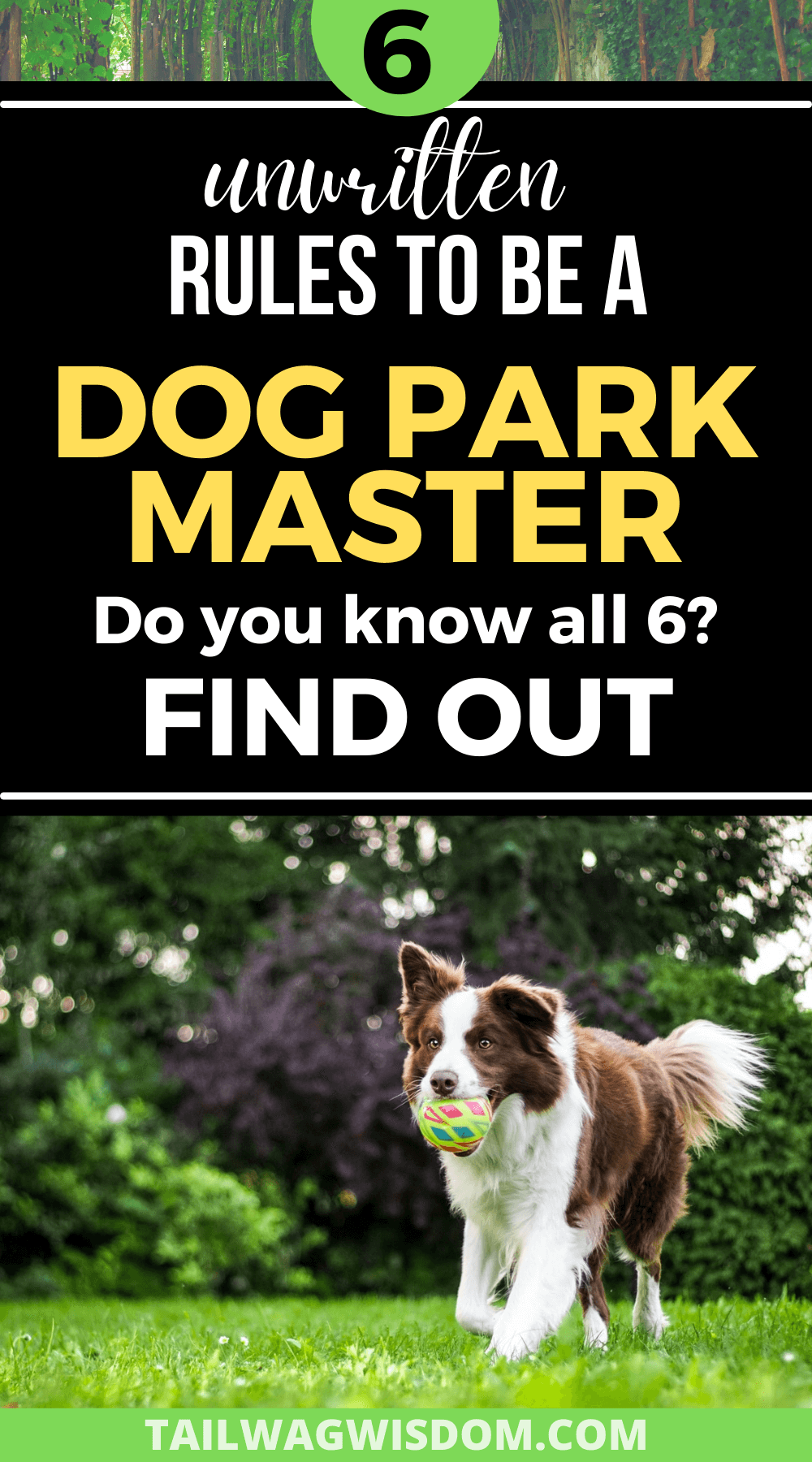 6 DOG PARK ETIQUETTE AND UNWRITTEN RULES Tail Wag Wisdom