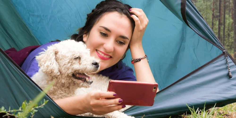 Why your dog needs an online pet supply store with great customer