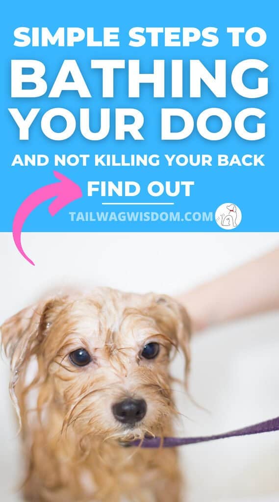 What Is The Easiest Way To Bathe A Dog