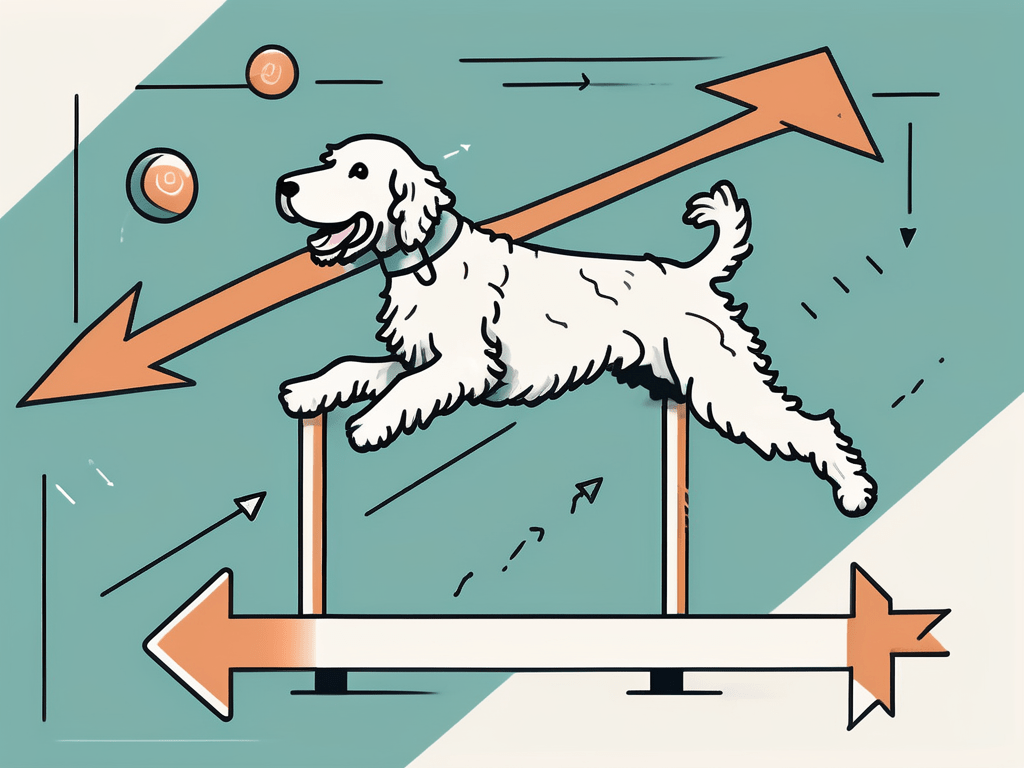 The Ultimate Guide to Labradoodle Jumping Tips and Techniques Tailwise