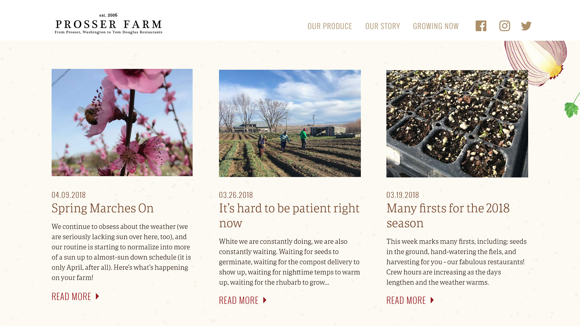 Prosser Farm Tai Terry Design