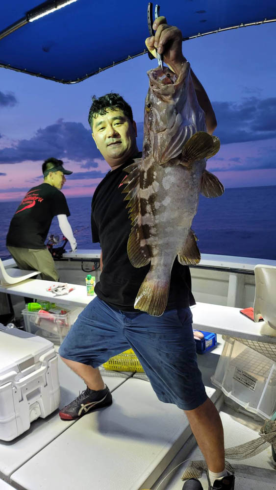 クエ狙い 京都府宮津市 釣り船 太陽丸 青物、マダイ、根魚、イカ釣り 田井宮津ヨットハーバー