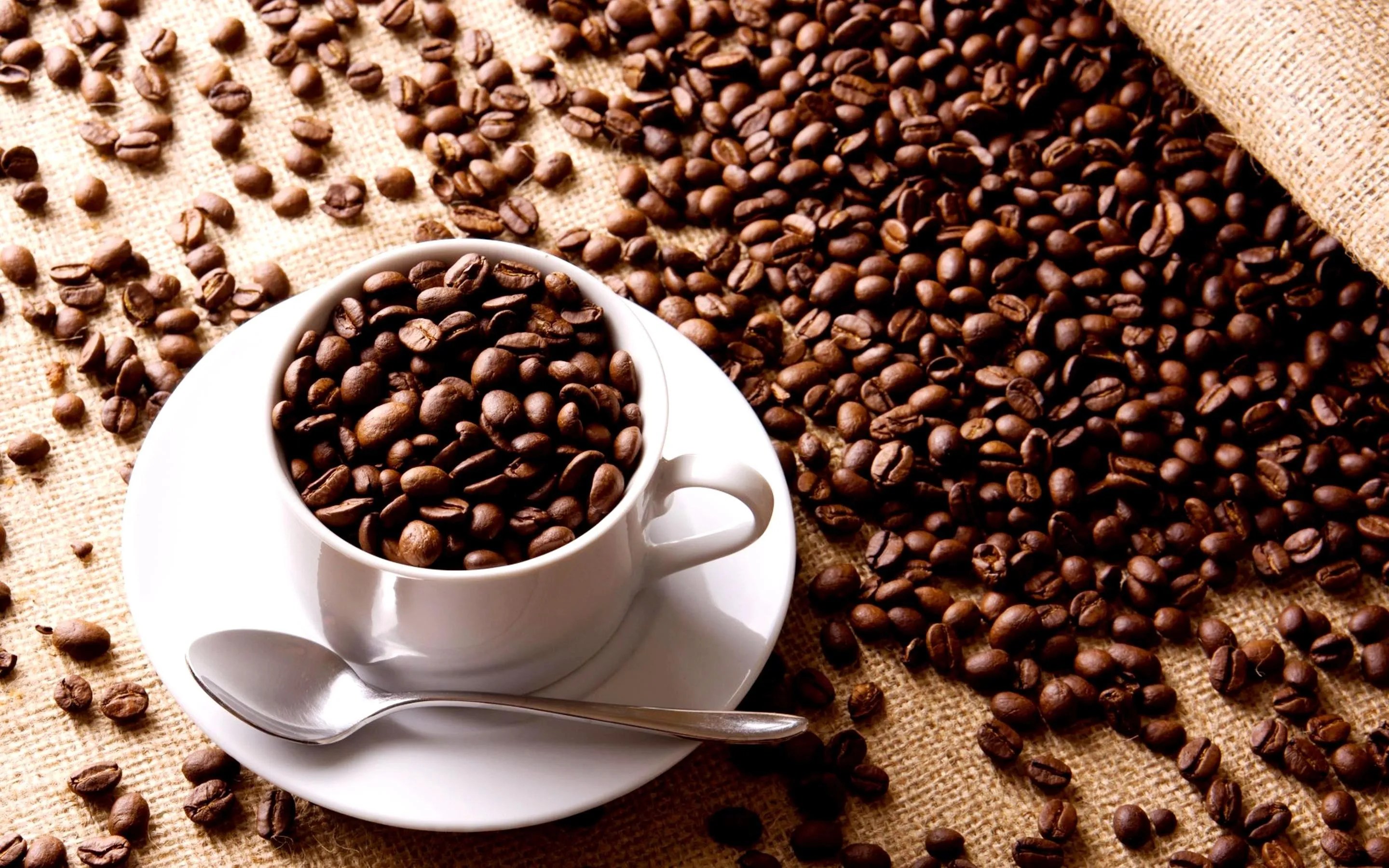 Coffee Consumption and Cancer Taj Generics Pharmaceuticals Taj Pharma