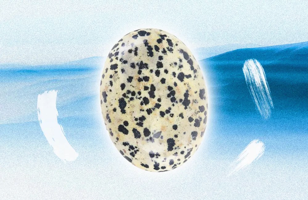 Dalmatian Jasper Crystal of Beauty and Harmony Takanta