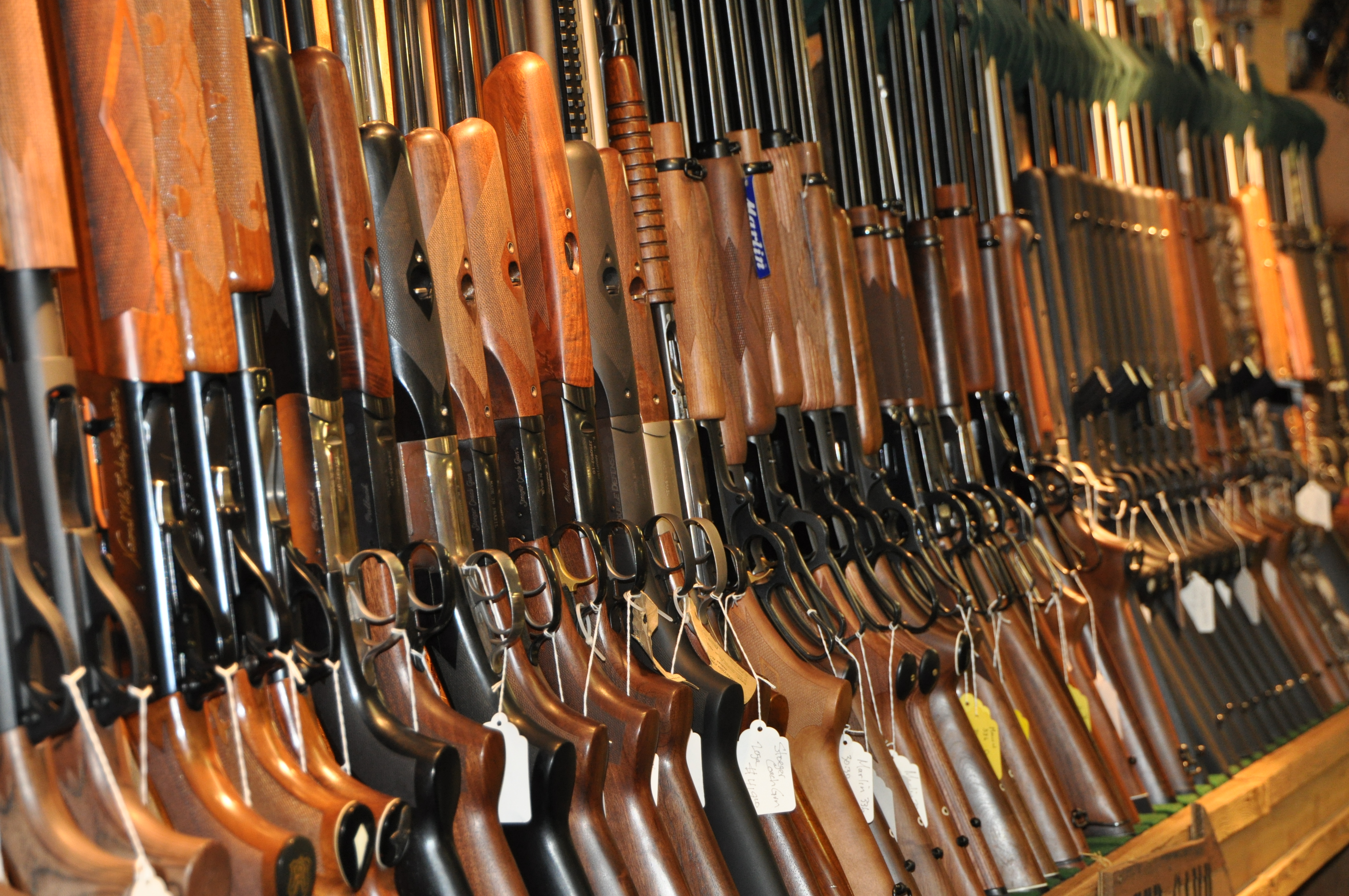 Hunting Take Aim Guns, Palm Harbor