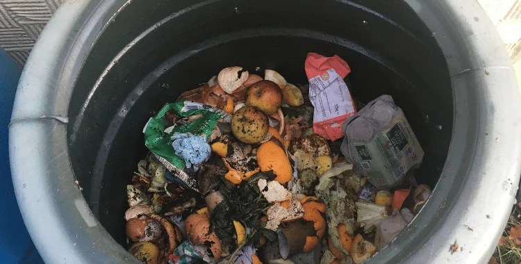 Should You Put Your Compost Bin In The Sun? (Or Shade?)