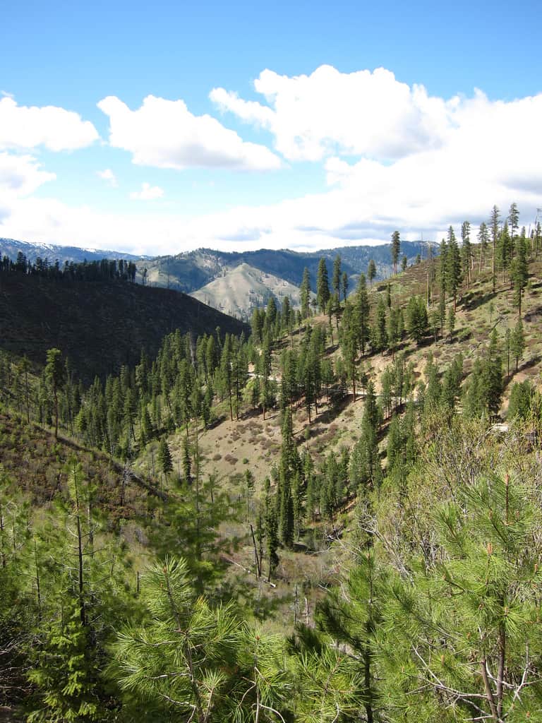 Unveiling the Top Campgrounds Discover The 15 Best Places To Go