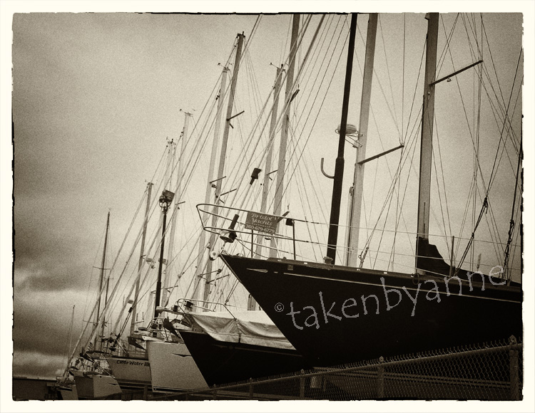 Anacortes Marina dry storage Anne Elkins Photography and Art
