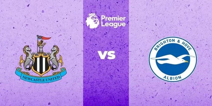 Hasil Pertandingan Newcastle vs Brighton Kemenangan Dramatis The Seagulls