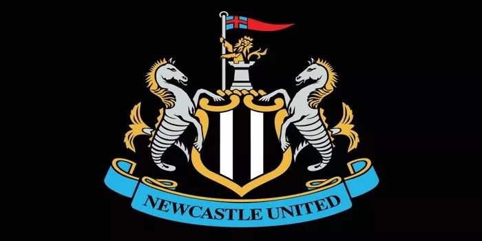 Newcastle United vs West Ham united – Pekan ke-12 Premier League 26/11/24