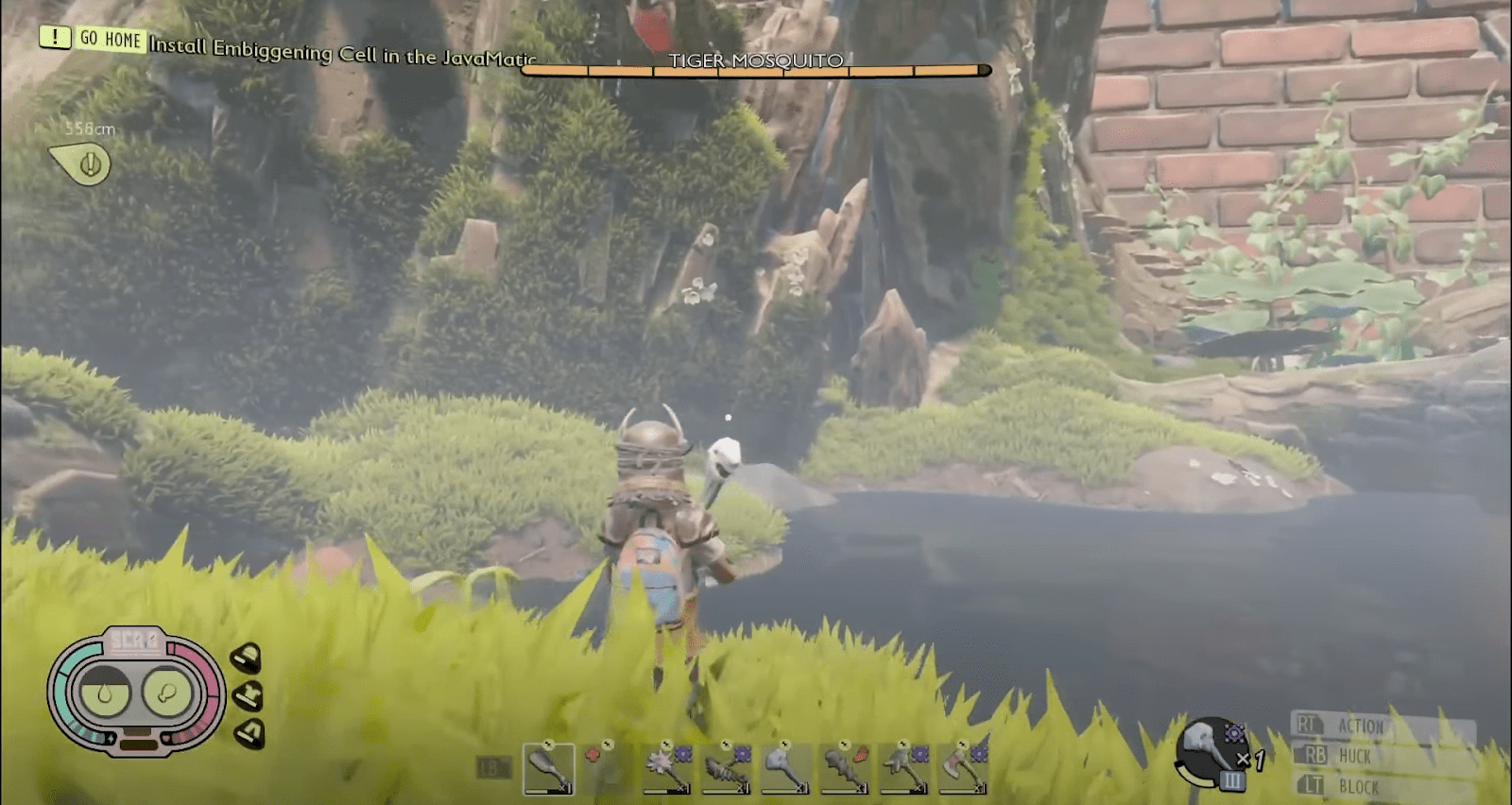 Grounded pond moss Where to find it and how to harvest it?