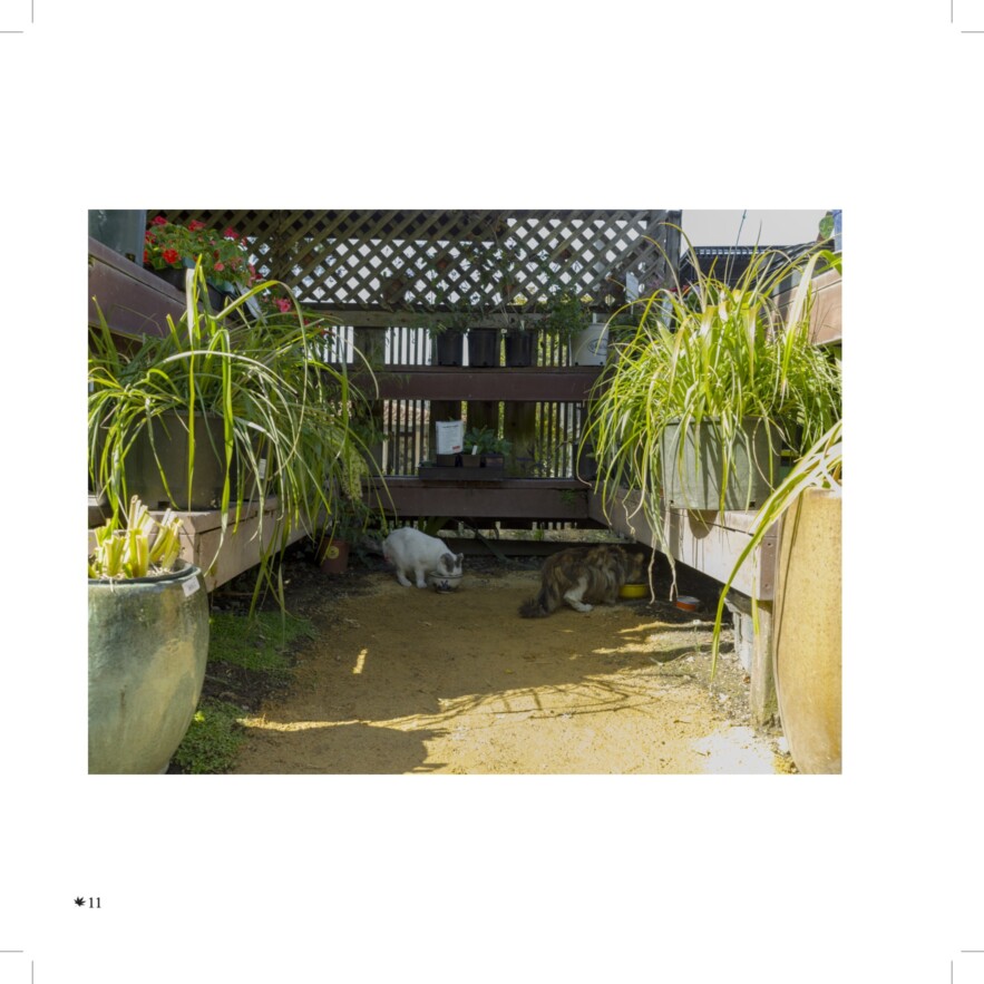 Moraga Garden Center Takeshi Moro