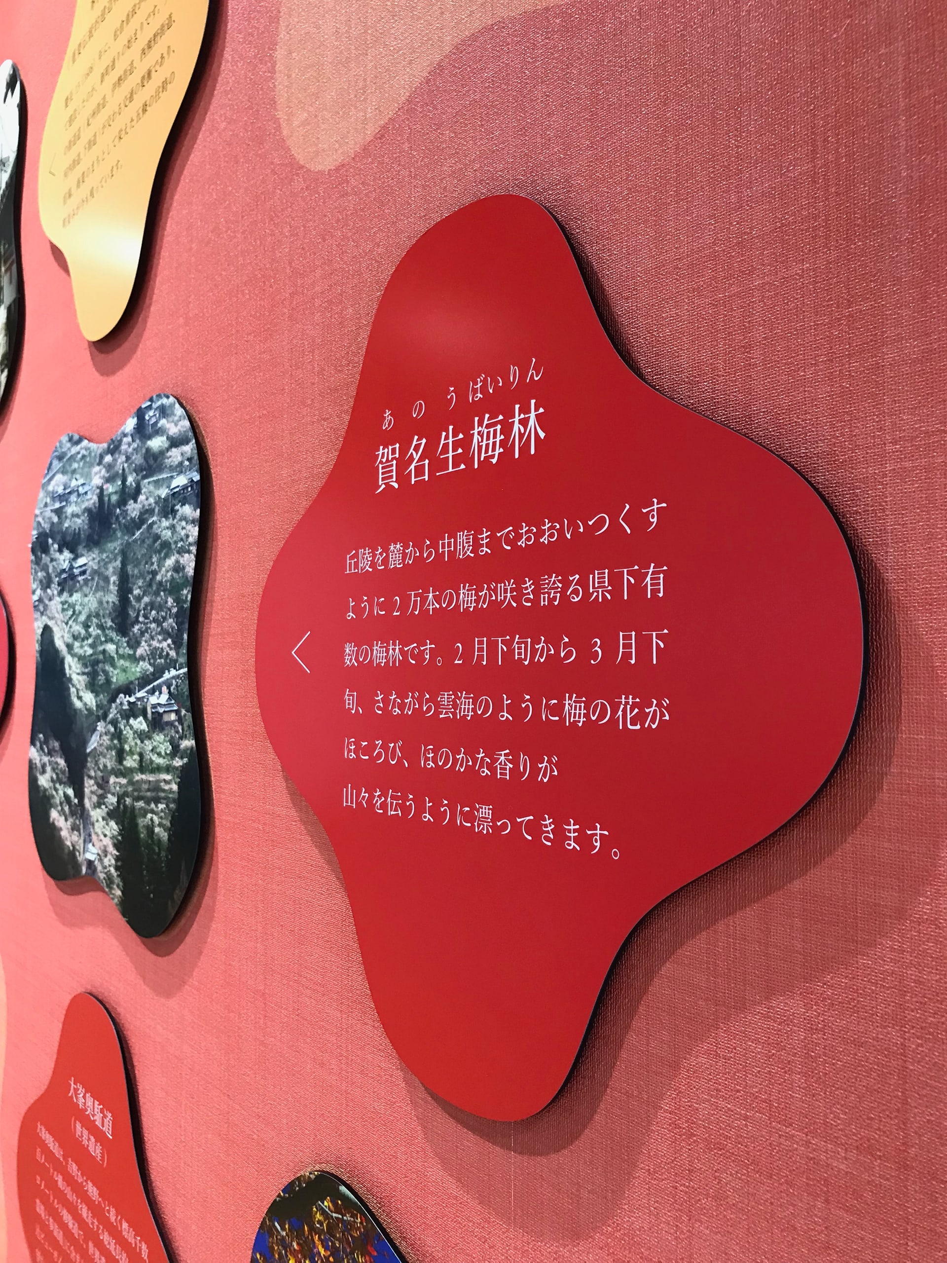 Gojo City Office , Nara Prefecture Gojo Branch Office 竹内デザイン Takeuchi