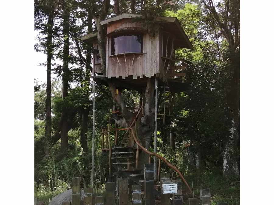 秘密基地気分で楽しもう！ツリーハウス宿泊施設おすすめ8選｜ニフティニュース