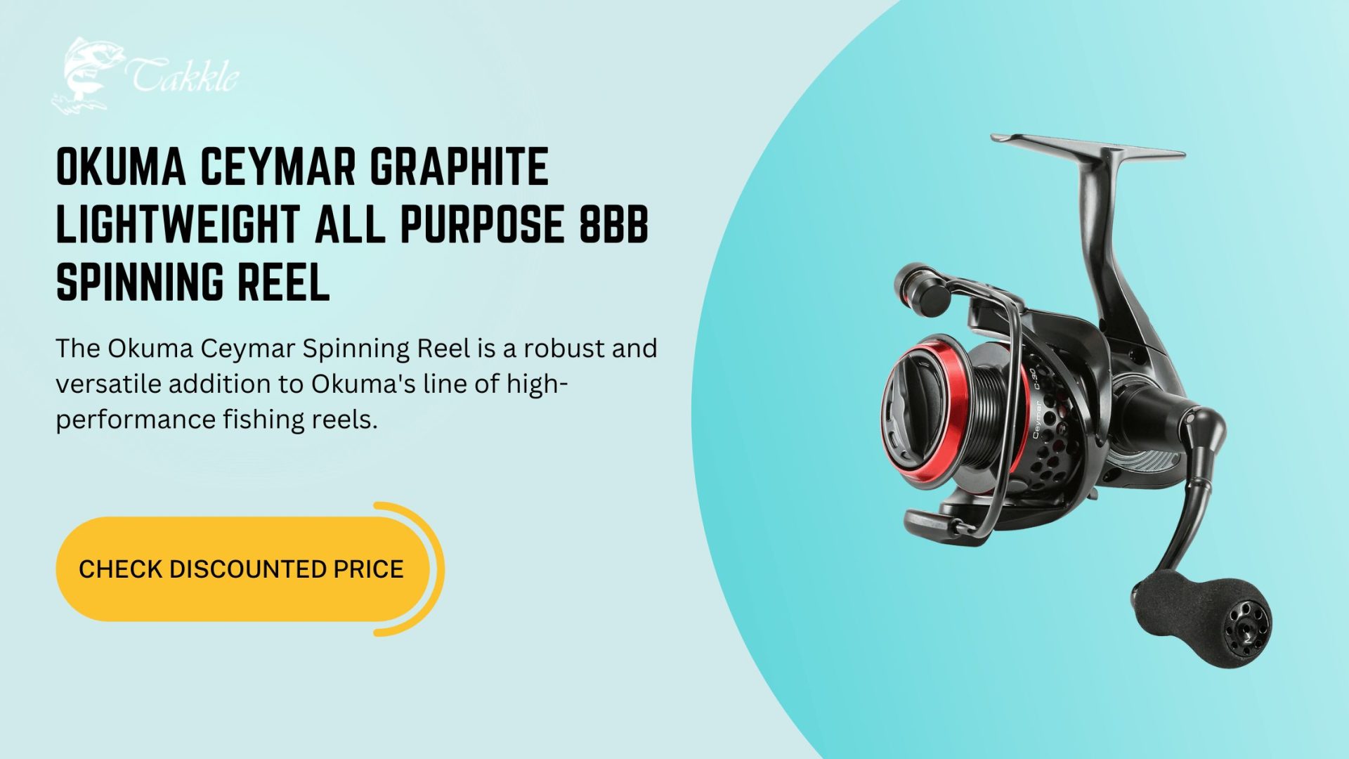 12 Best Fishing Reel Brands And Their Best Fishing Reels