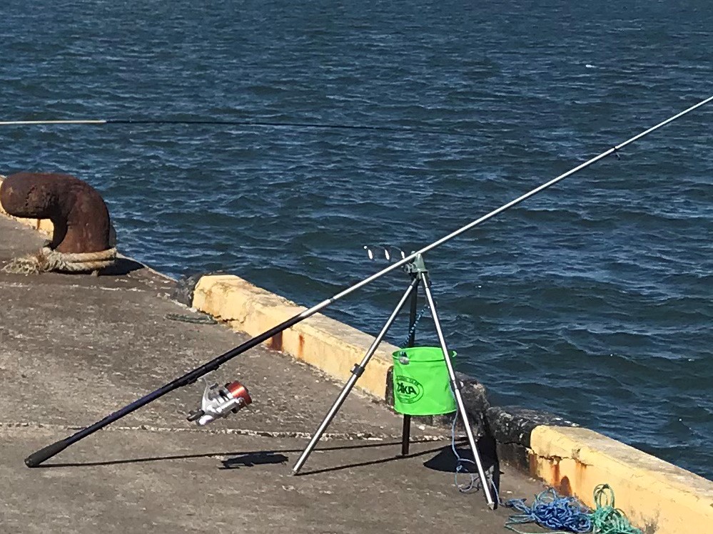 ちょい投げ釣りのタックルから釣り方までをご紹介。 カメラと共に旅に出る！タコちゃんずのブログ