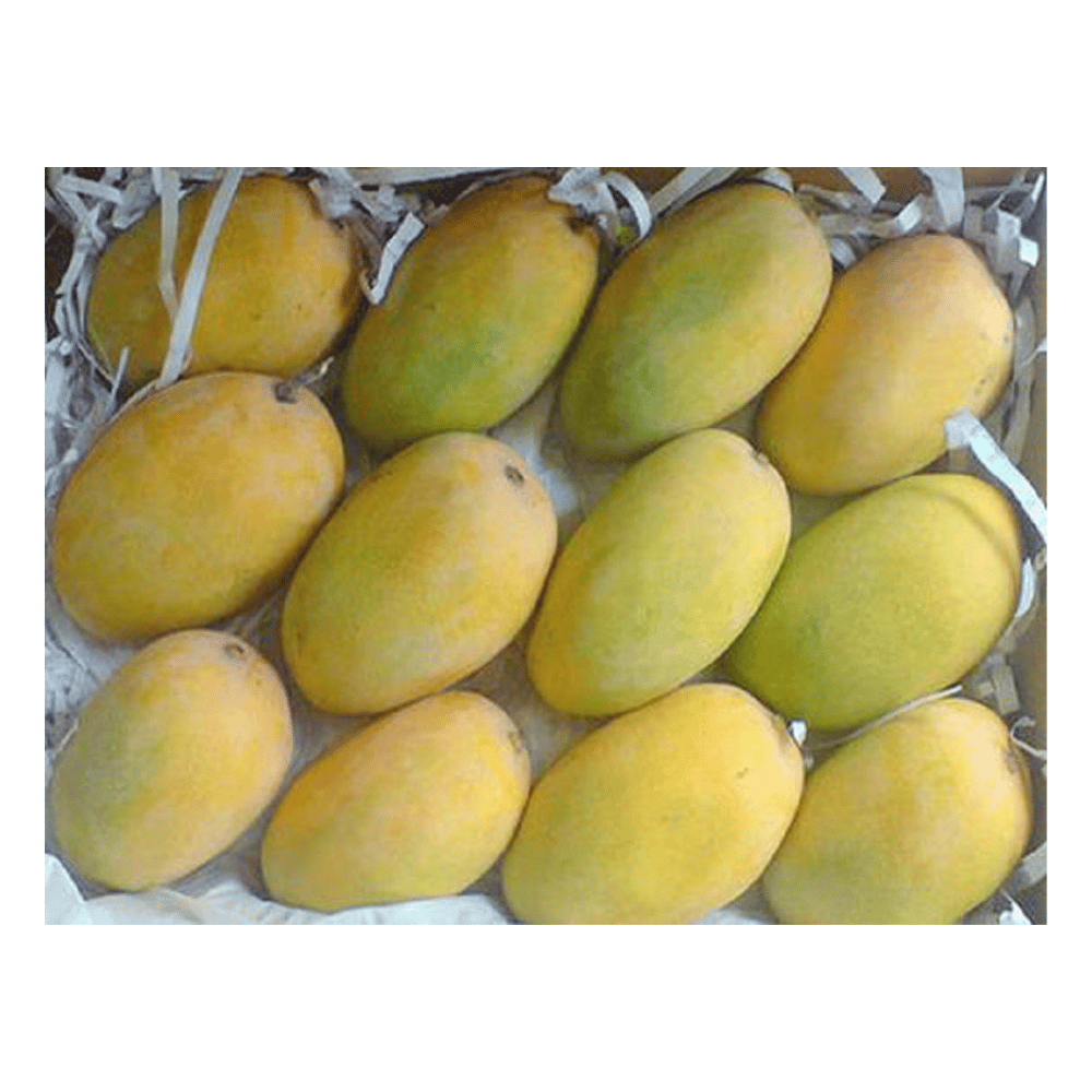 Fresh Mango Exports From India To Canada