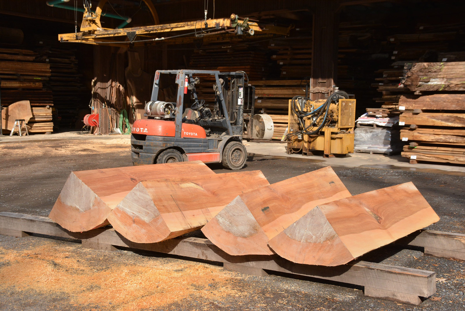 American Sycamore Talarico Hardwoods