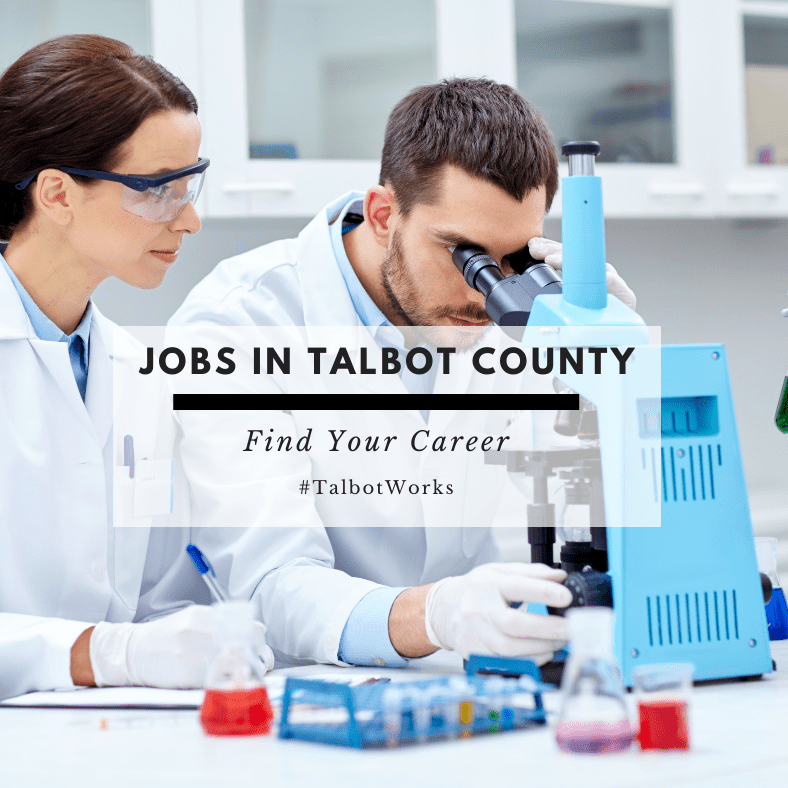 Jobs Report September Talbot County Economic Development