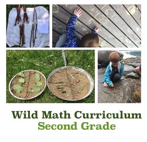 Wild Math Second Grade Review Tales of a Mountain Mama
