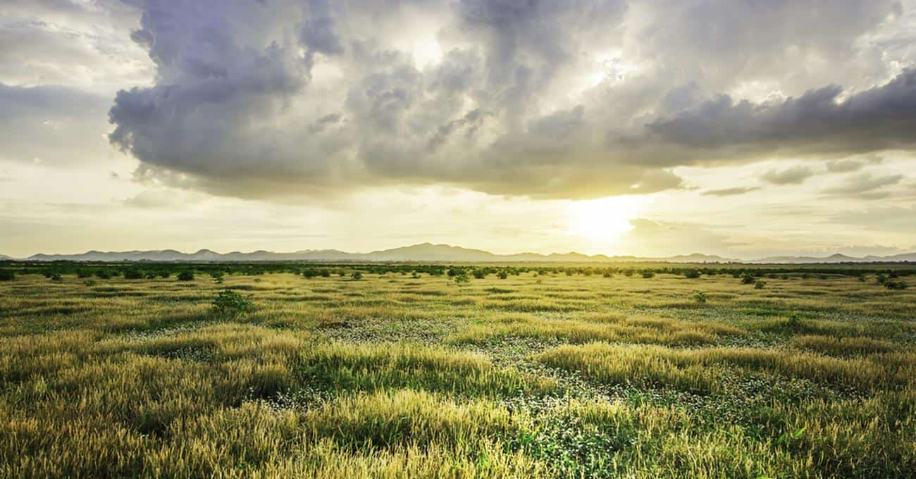 Hunter's GrassLand Tiles Tales Tavern