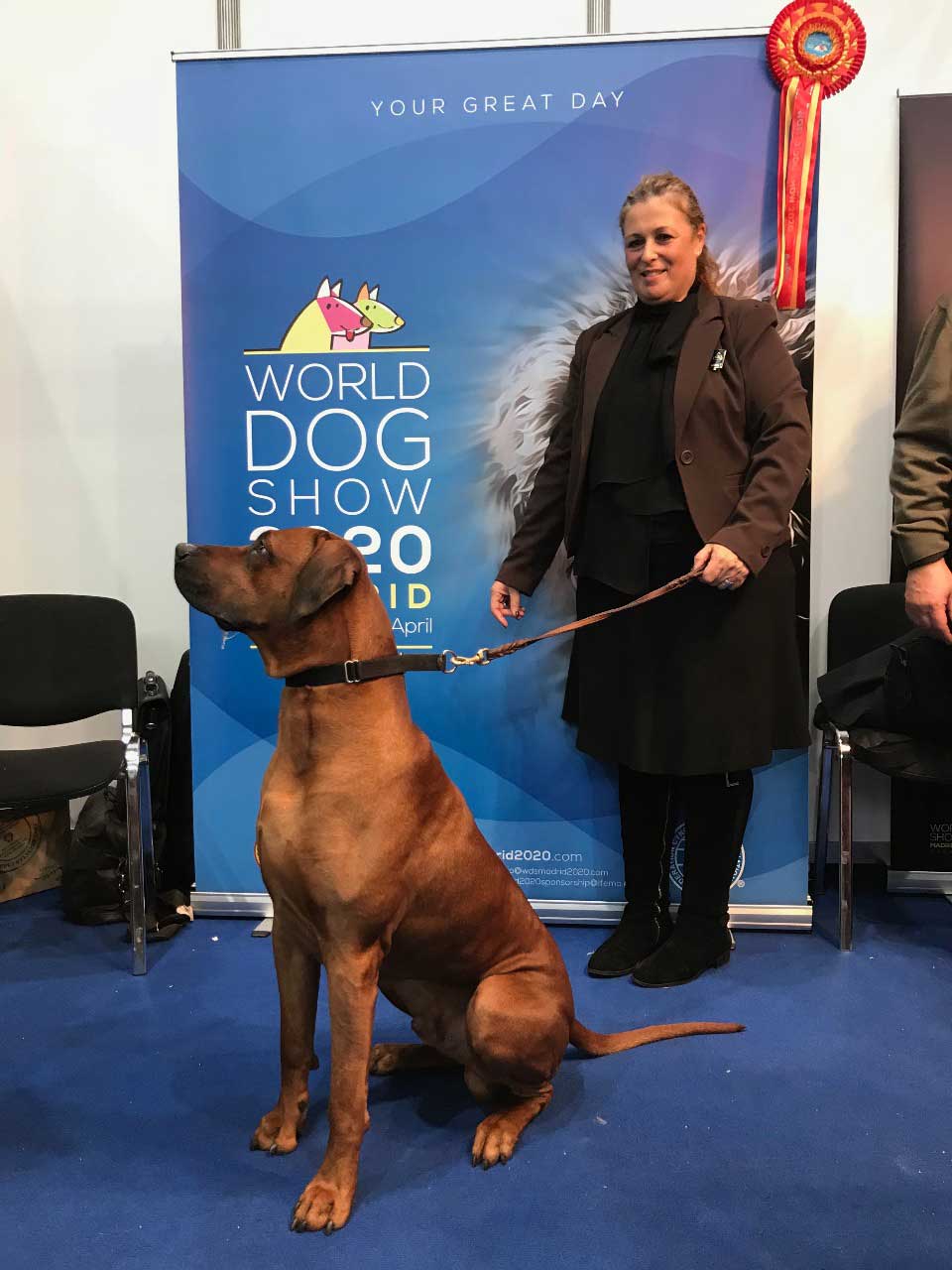 hundeausstellungen 2023 Talk About Dogs Ringtraining. Führe Gekonnt Deinen Hund Vor.