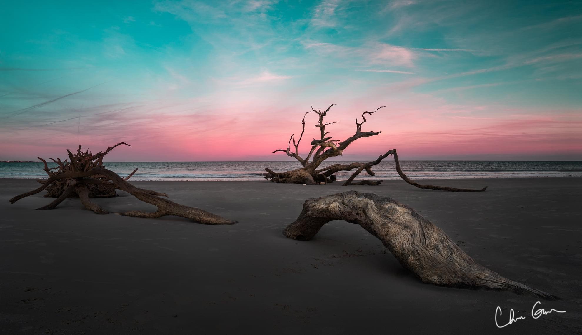 Driftwood Beach, a landscape photographer’s paradise 🏝 Talk2USoon