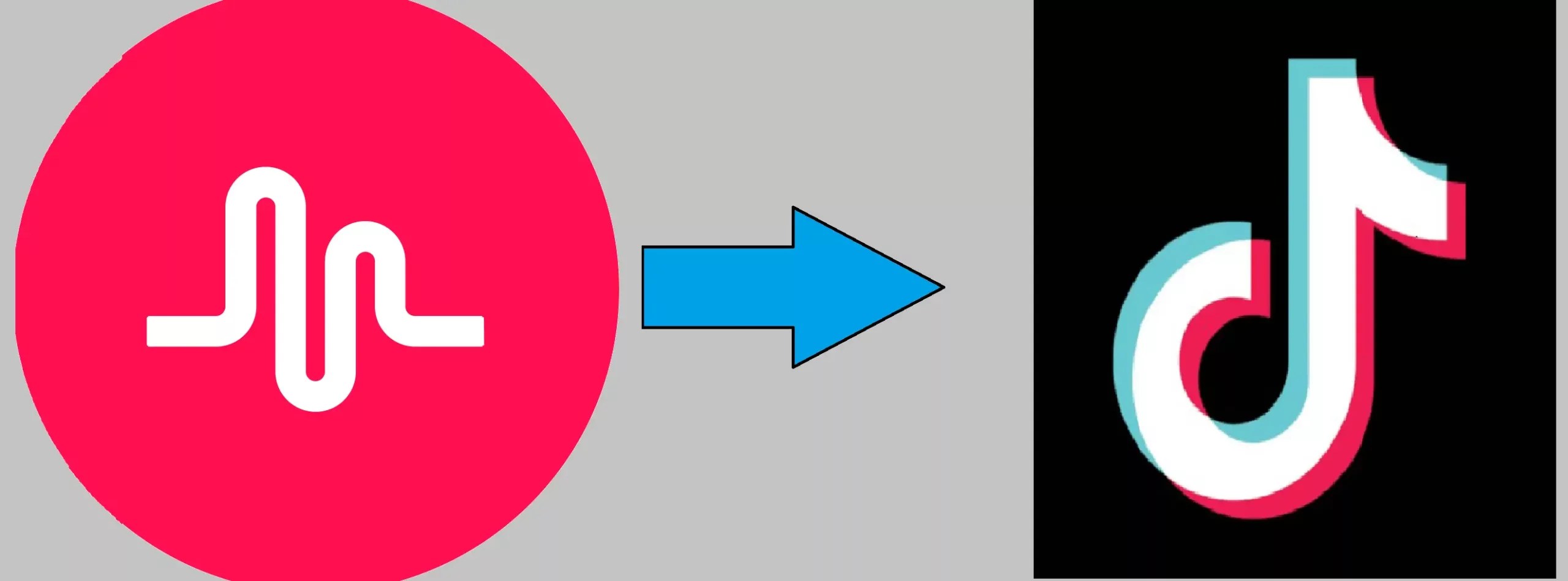 How To Find Old Musically Account? [3 DIY Tricks] TalkativeFox