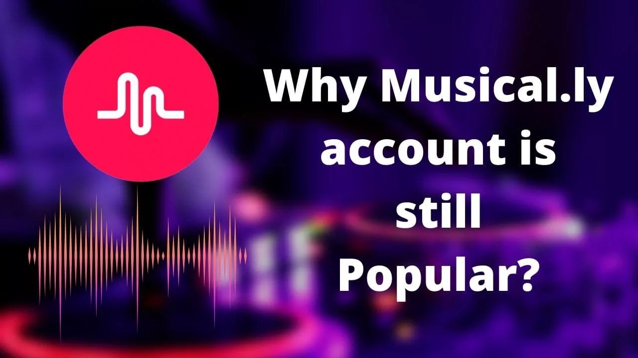 How To Find Old Musically Account? [3 DIY Tricks] TalkativeFox