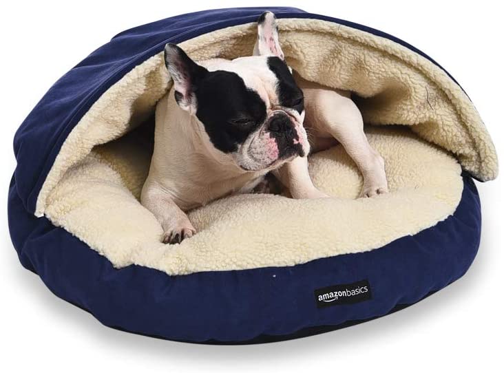 5 Best Mattress for Dogs in 2024 Affordable beds for all dog sizes 🐶