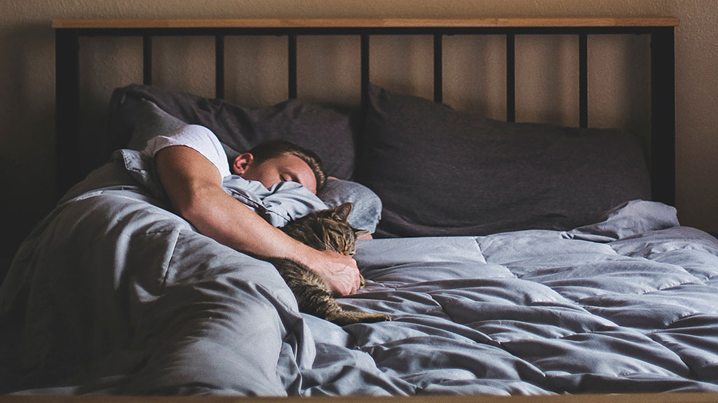 Bed by Chiropractors Talk Beds