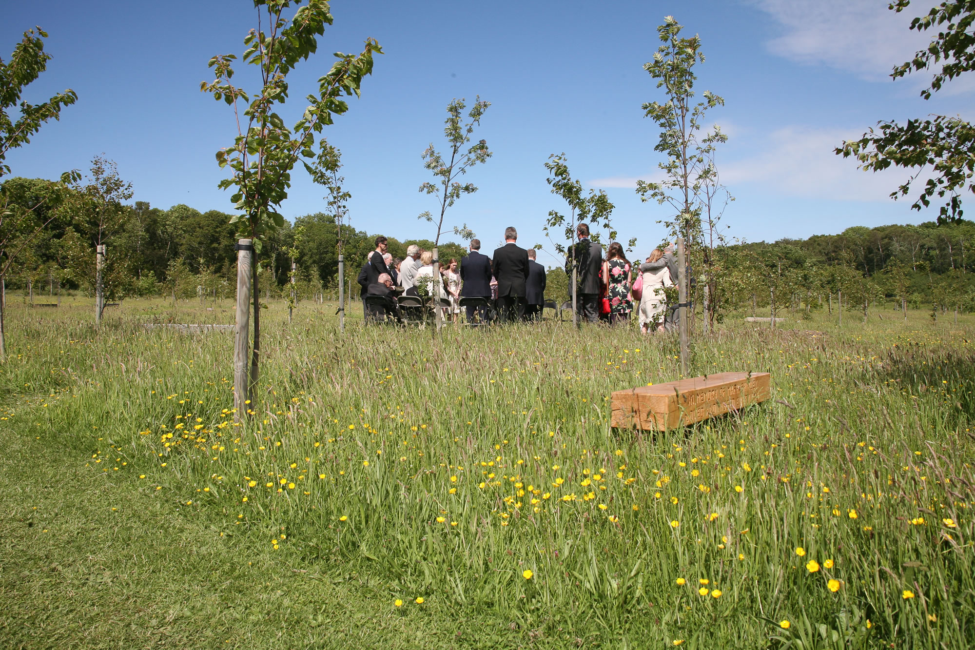 What is Green Burial Exactly? TalkDeath
