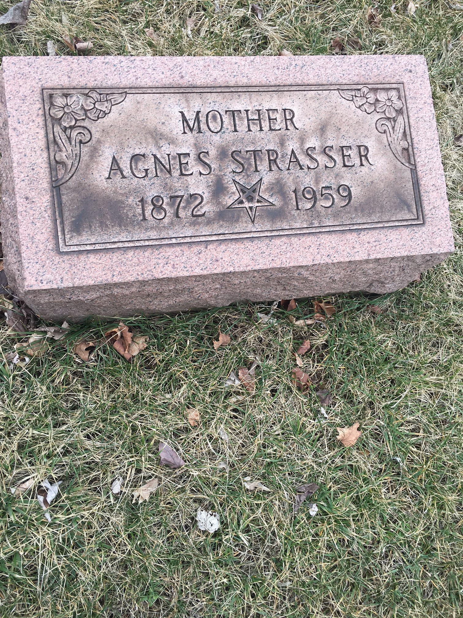 Rosemont Cemetery Talk Horror