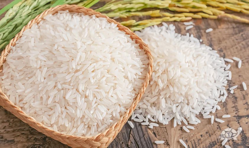Differenza tra riso Basmati e Jasmin Talki.blog
