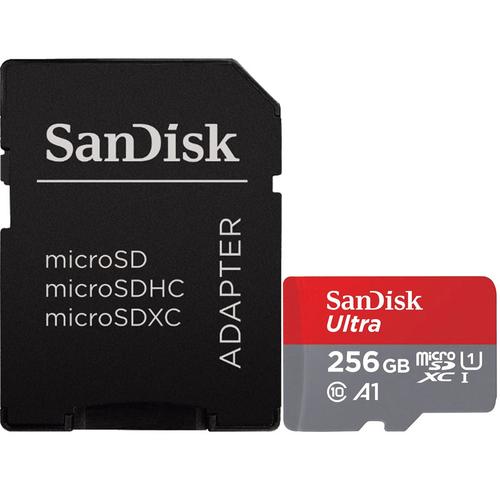 256 GB Memory card Micro SD or SD Card