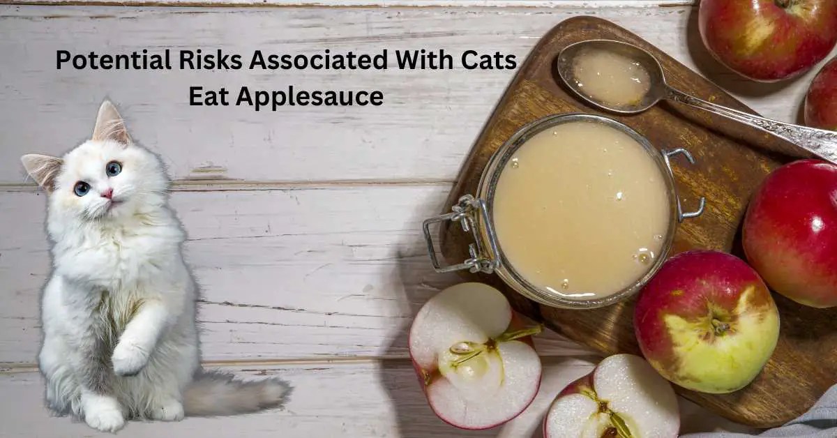 Can Cats Have Cinnamon Applesauce? (Cats eat applesauce) Talk Leisure