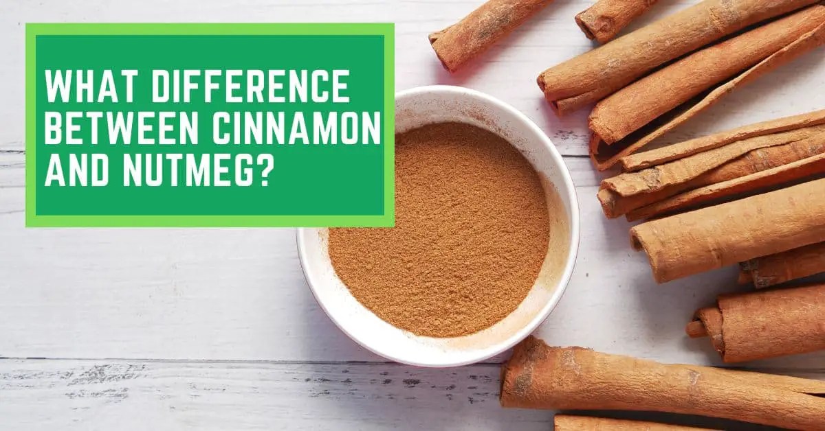 What Difference Between Cinnamon And Nutmeg? Read This to Find Out How(04)