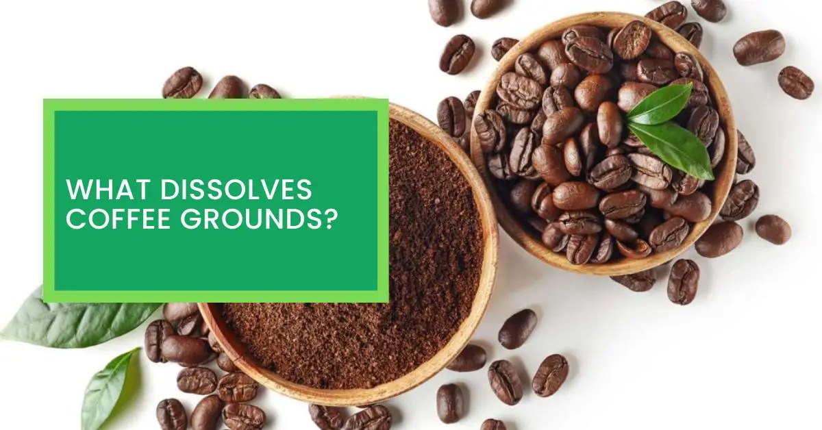 What Dissolves Coffee Grounds? Read This to Find Out How to Dissolves