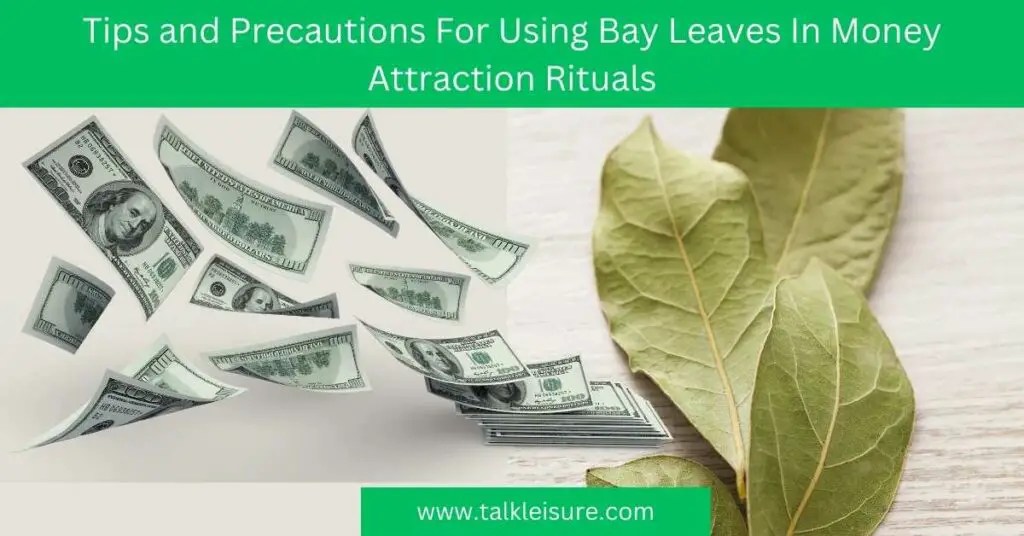 How To Attract Money With Bay Leaves? Talk Leisure