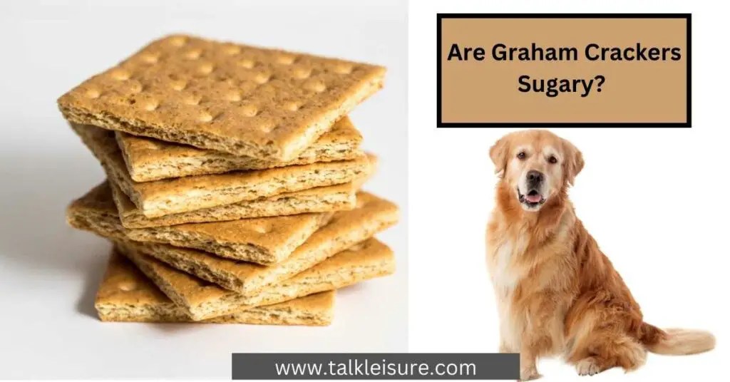 Can Dogs Eat Graham Crackers With Cinnamon? Healthy Alternatives That
