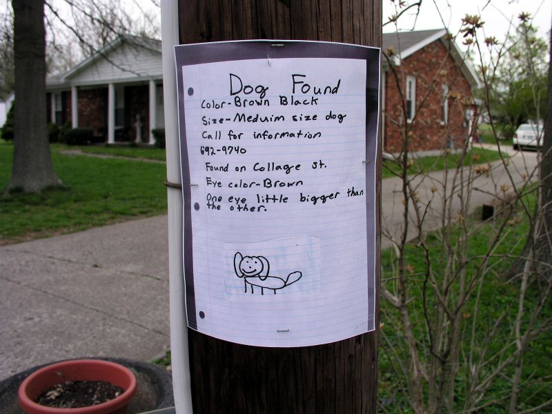 TALK MARION COUNTY 24/7 A Photo A Day DAY 228 BEST LOST DOG SIGN EVER