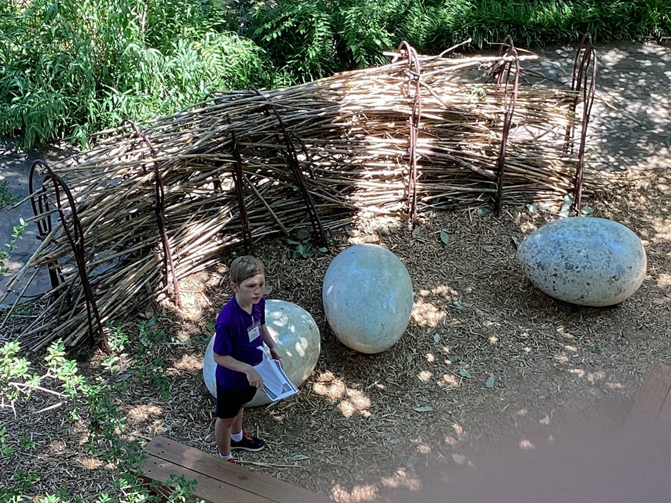 MathFinder Infusion in Summer Camp at the Dallas Arboretum talkSTEM