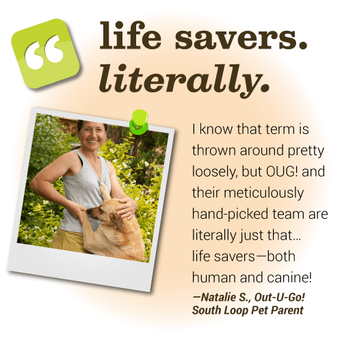 OutUGo! Pet Care Services Inc.